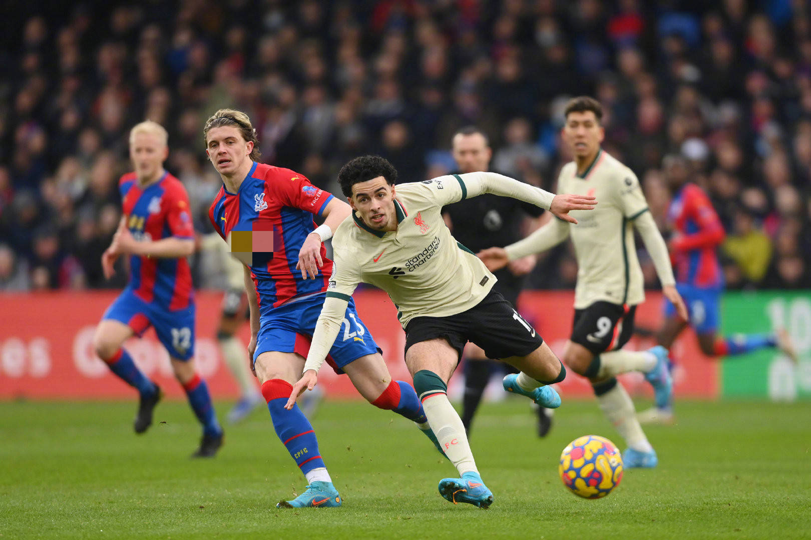 坚持不懈的 坚持不懈的